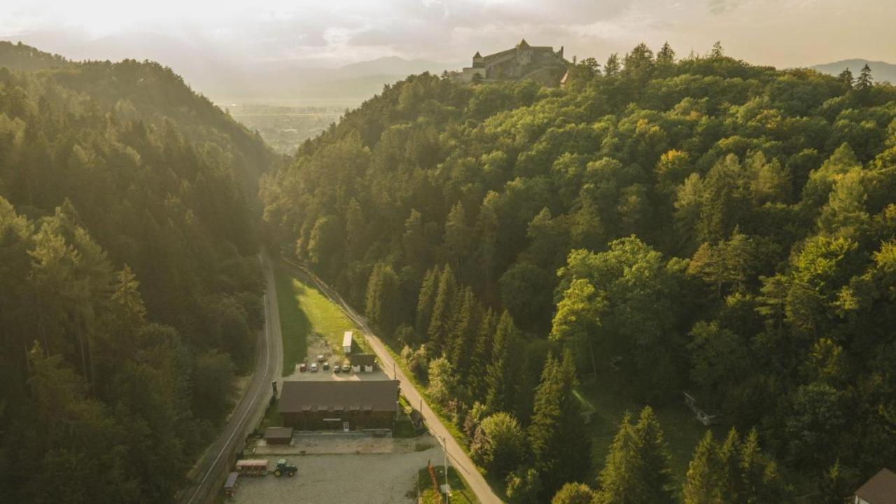 Pensiunea Valea Cetatii Rîşnov Exterior foto